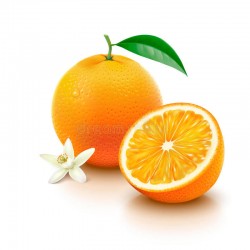 Orange Flavor Concentrate